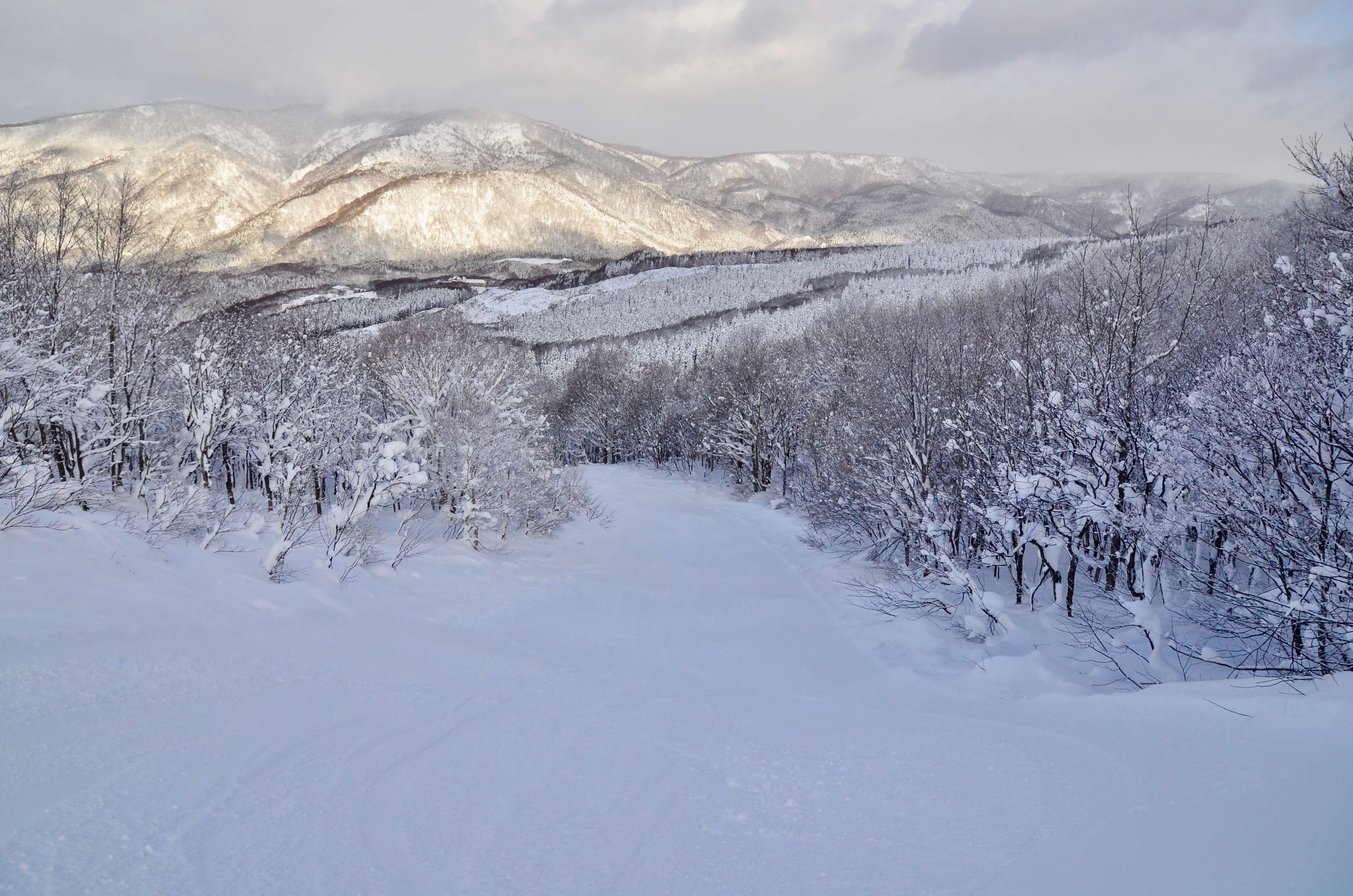 Blogs: ski image